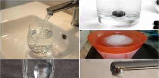 Господині розповіли, як очистити воду з крану без фільтру 