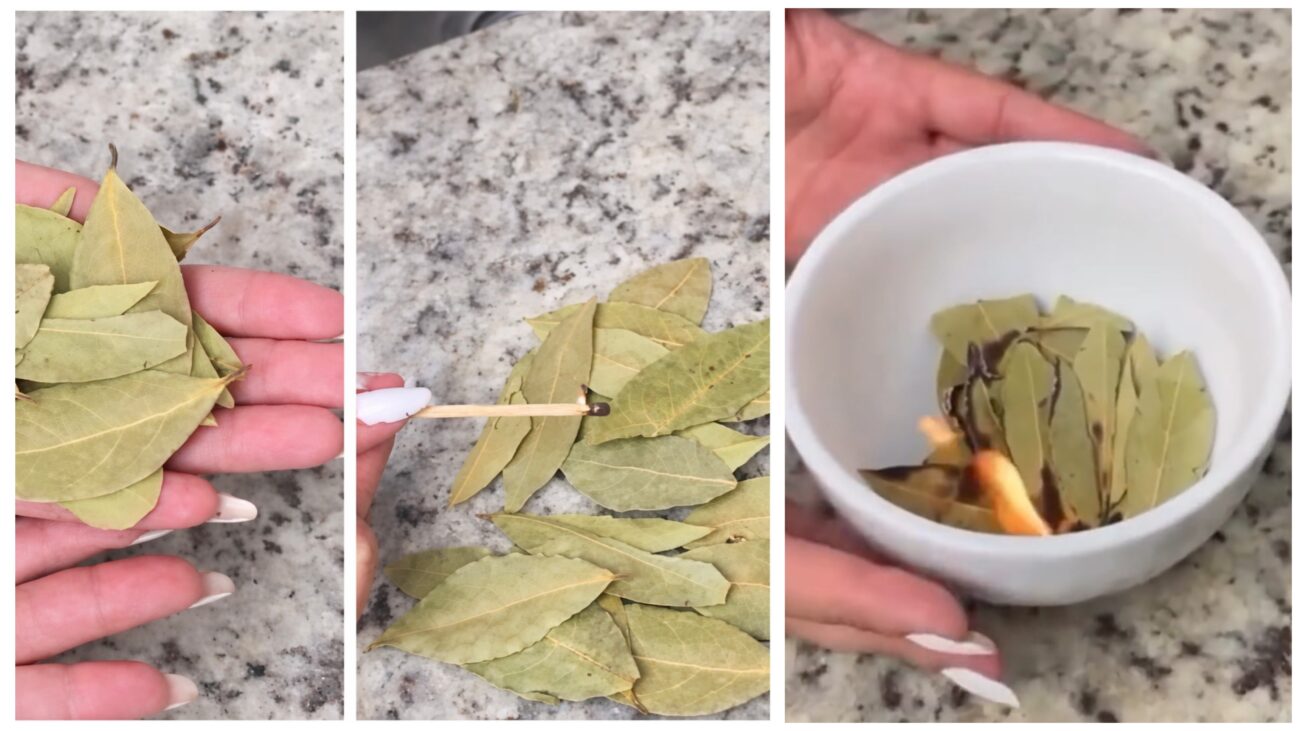 Господині розповіли, як можна залучити в дім удачу лавровим листом