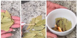 Господині розповіли, як можна залучити в дім удачу лавровим листом 