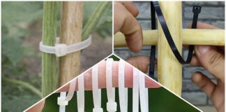 Городники розповіли, як використовувати пластикові стяжки на дачі 