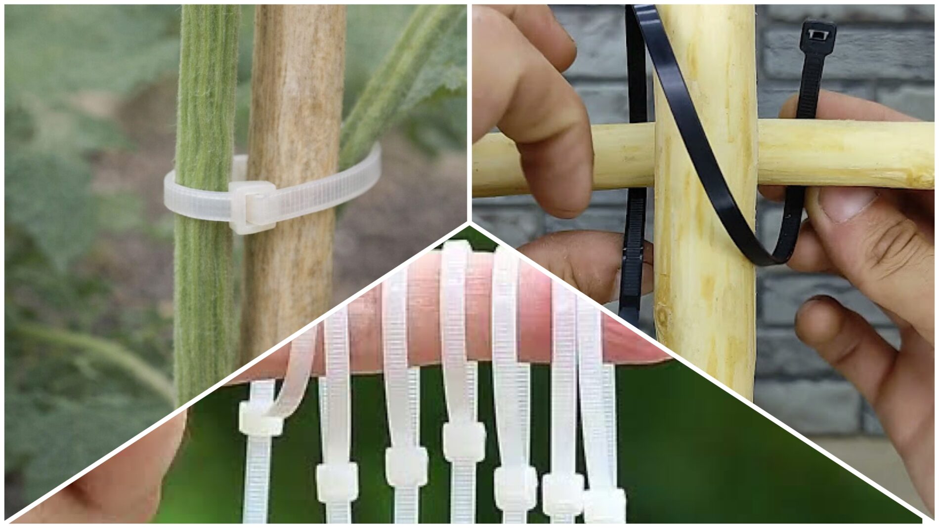 Городники розповіли, як використовувати пластикові стяжки на дачі 