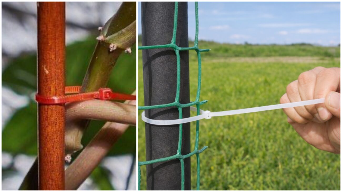 Городники розповіли, як використовувати пластикові стяжки на дачі 