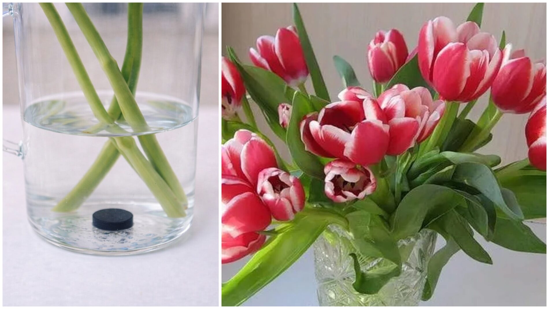 Господині розповіли, що додати у воду, аби букет квітів стояв довше 