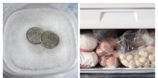 Господині розповіли, навіщо класти монетку у морозильник 