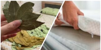 Господині розповіли, навіщо класти лавровий лист під матрац 