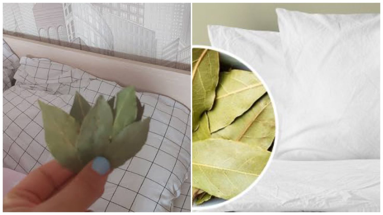 Господині розповіли, навіщо класти лавровий лист під подушку 