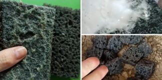 Господині розповіли, як покращити цвітіння кімнатних квітів губками для посуду 