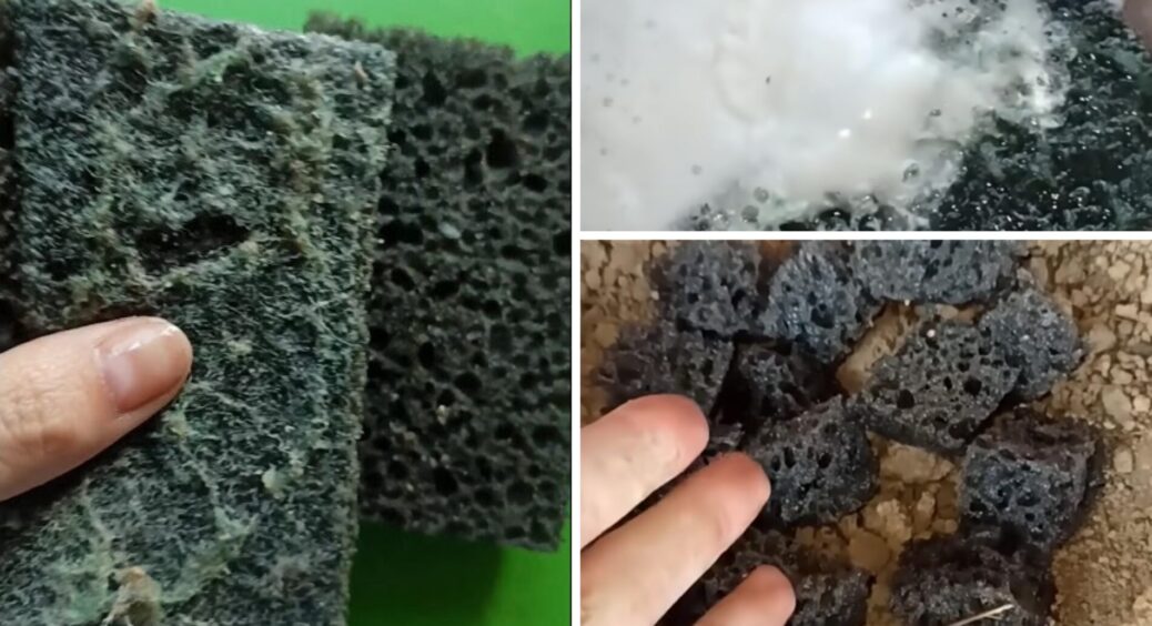 Купила в “Єві” найдешевші губки для посуду, а кума взяла свої старі: 1 “фокус” змусив мене плакати від щастя 