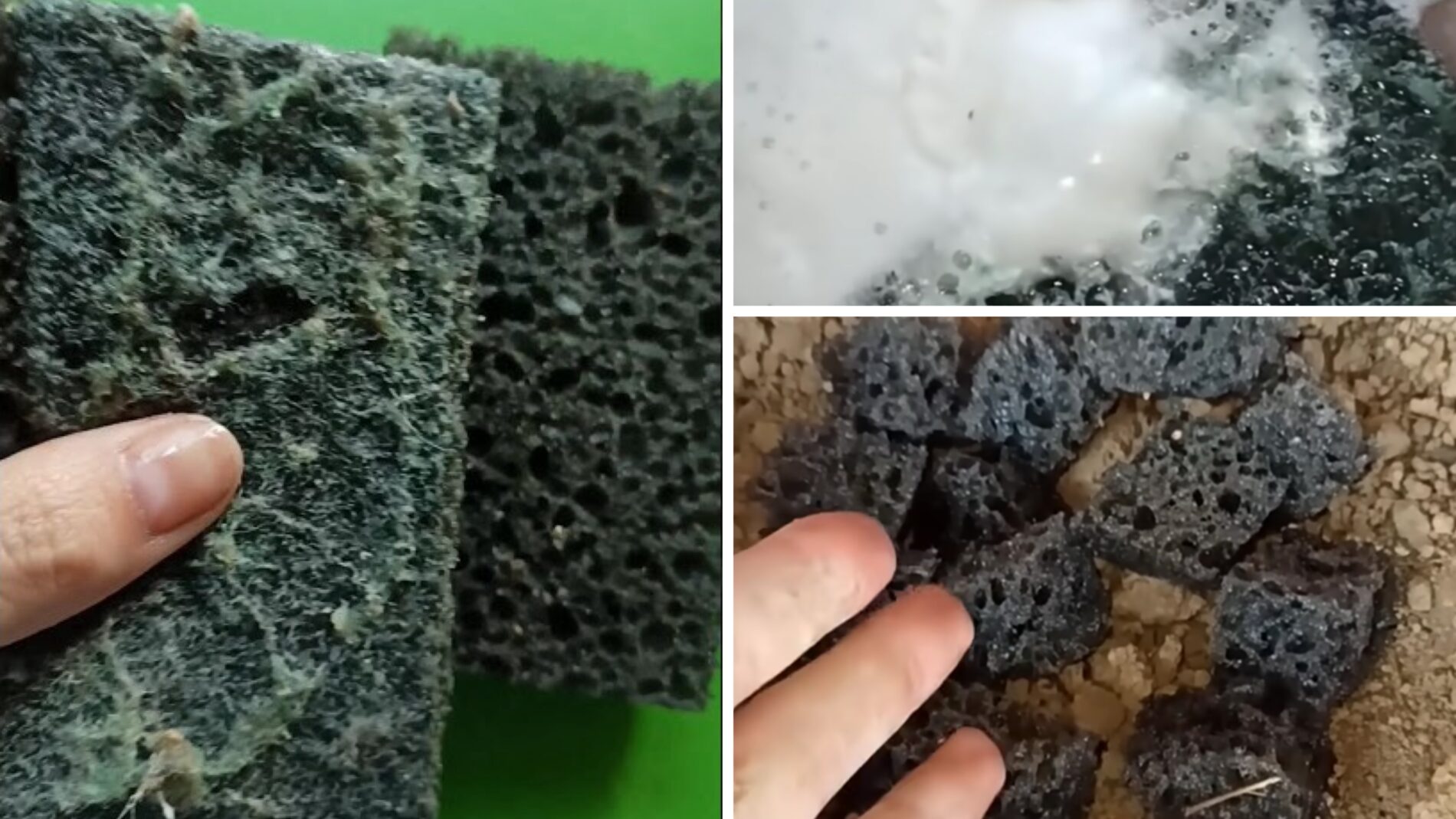 Господині розповіли, як покращити цвітіння кімнатних квітів губками для посуду 