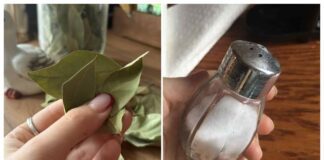 Господині розповіли, як приготувати ароматну сіль із лавровим листом 