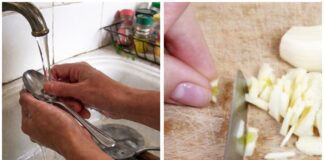 Господині розповіли, як швидко вивести з рук запах часнику 