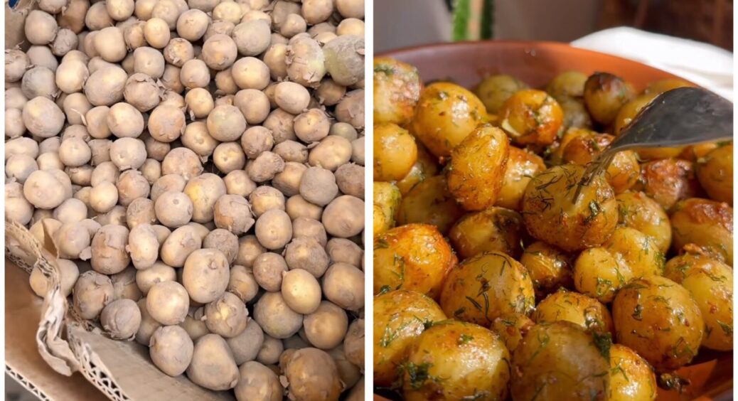 Бабуся сміється, що я купляю “свинячу” бульбу: готую з неї справжній делікатес, який в кафе коштує 320 грн 