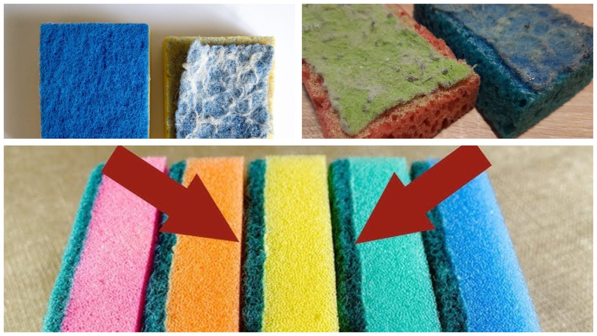 Експерти пояснили, як часто потрібно змінювати губки для миття посуду 