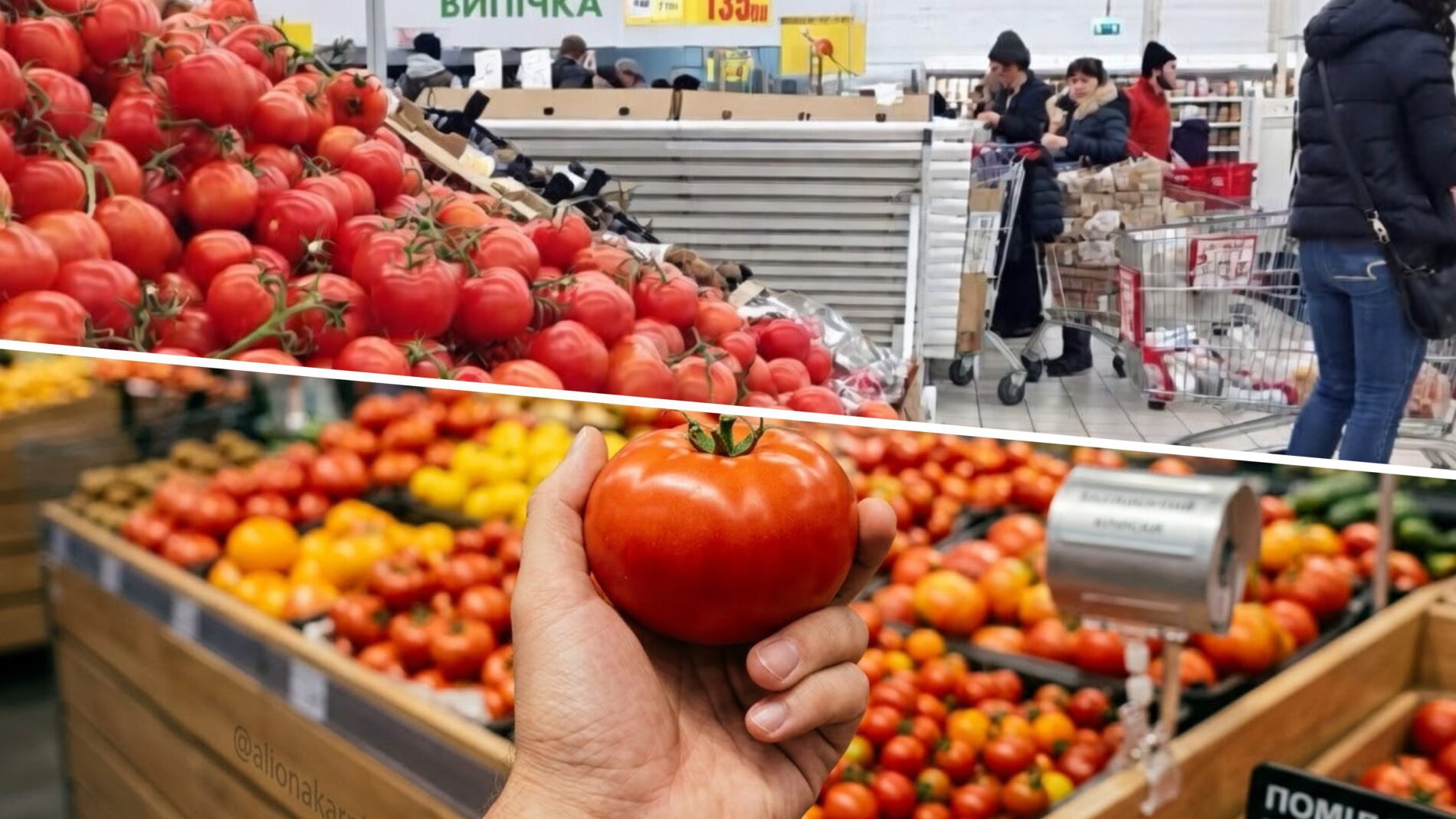 Продавці розповіли, чому в Україні різко подорожчали помідори