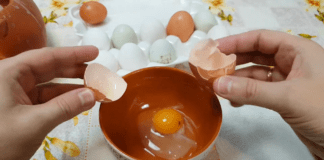 Експерти розповіли, чи можна їсти яйця з каламутним білком