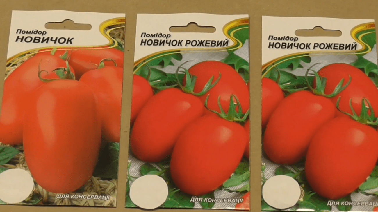 Городники назвали найкращі сорти томатів для городу. Фото: YouTube/УЗВАР