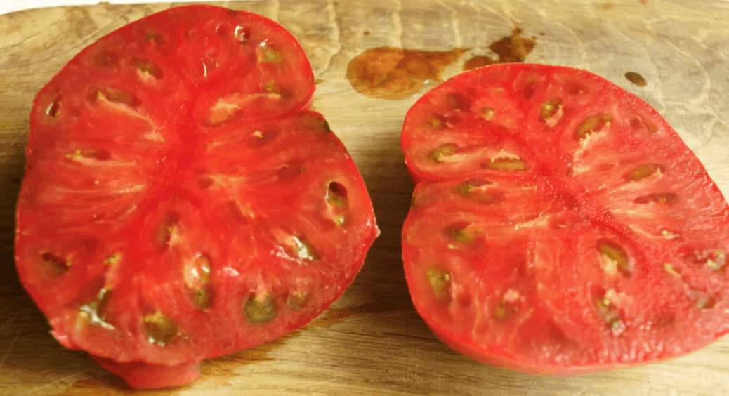 Посадила 4 темних сорти томатів – і тепер червоні на грядці виглядають, як сумний компроміс поруч із ними 