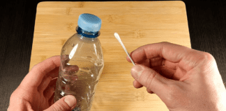 Садівники розповіли, організувати полив рослин за допомогою пляшки і ватної палички