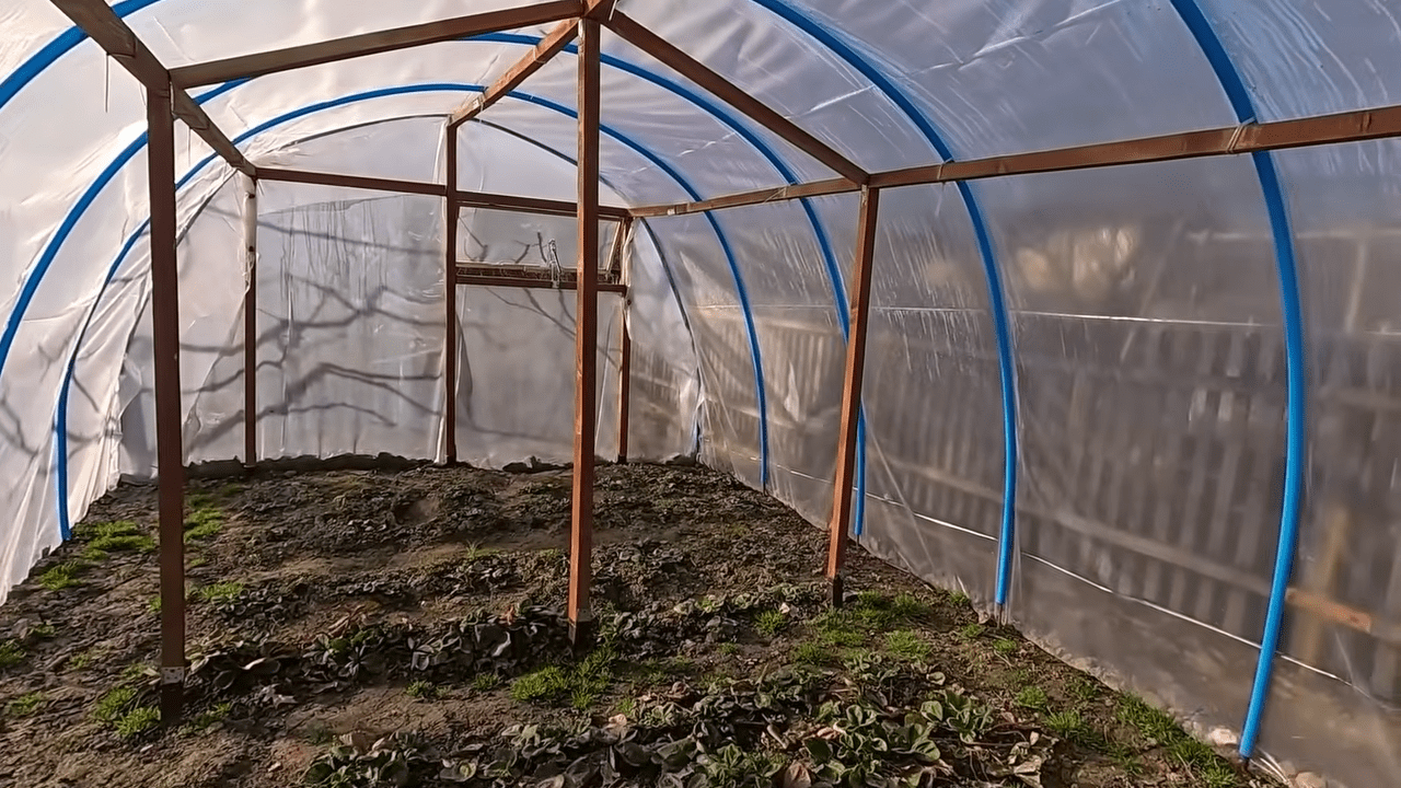 Дачники розповіли, як зробити просту бюджетну теплицю своїми руками. Фото: скріншот з YouTube