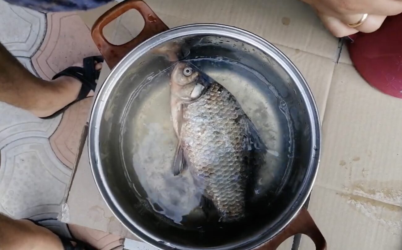 Господині розповіли, як швидко почистити рибу
