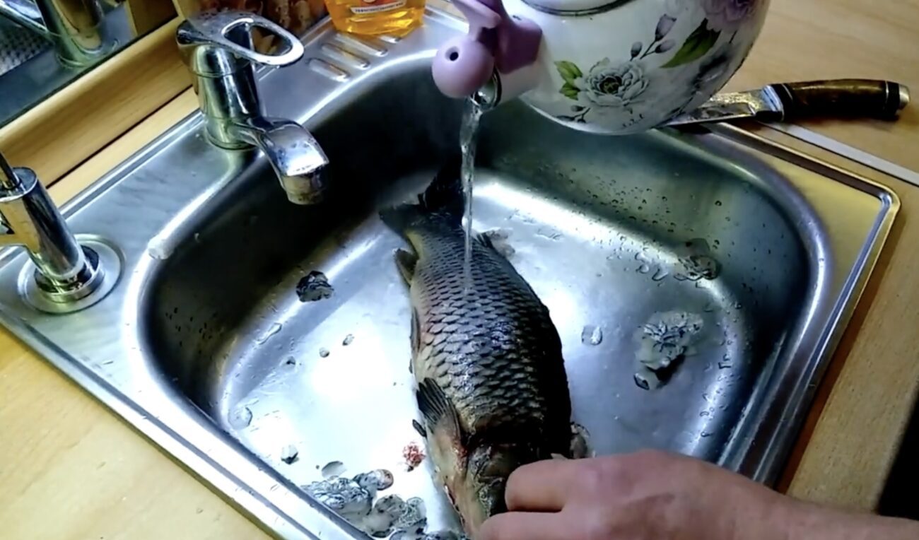 Господині розповіли, як швидко почистити рибу