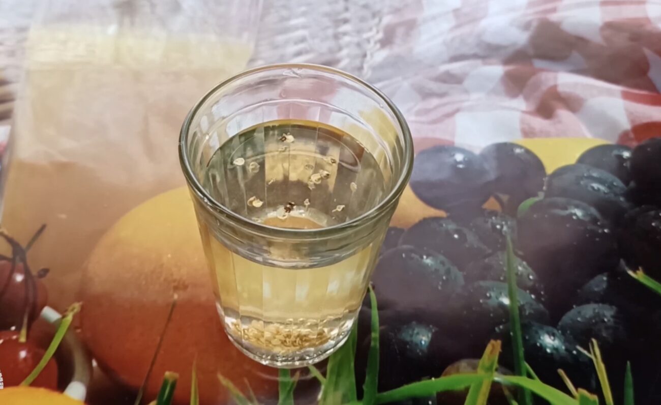 Городники розповіли, як проростити насіння перцю за три дні 