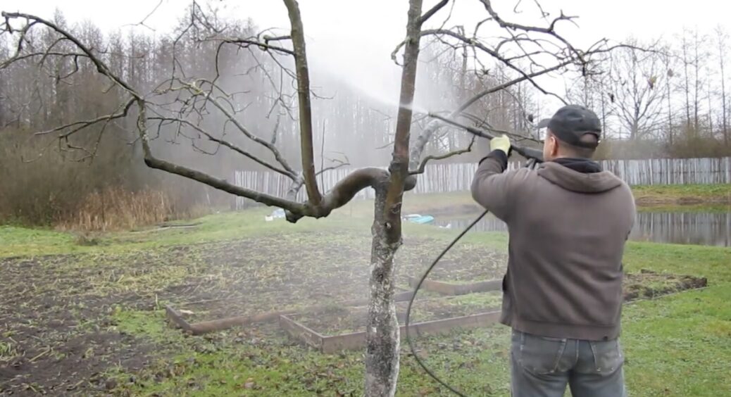 Поки бруньки ще не розкрилися, швиденько роблю обробку саду: робоча “схема” від 77-річного агронома 
