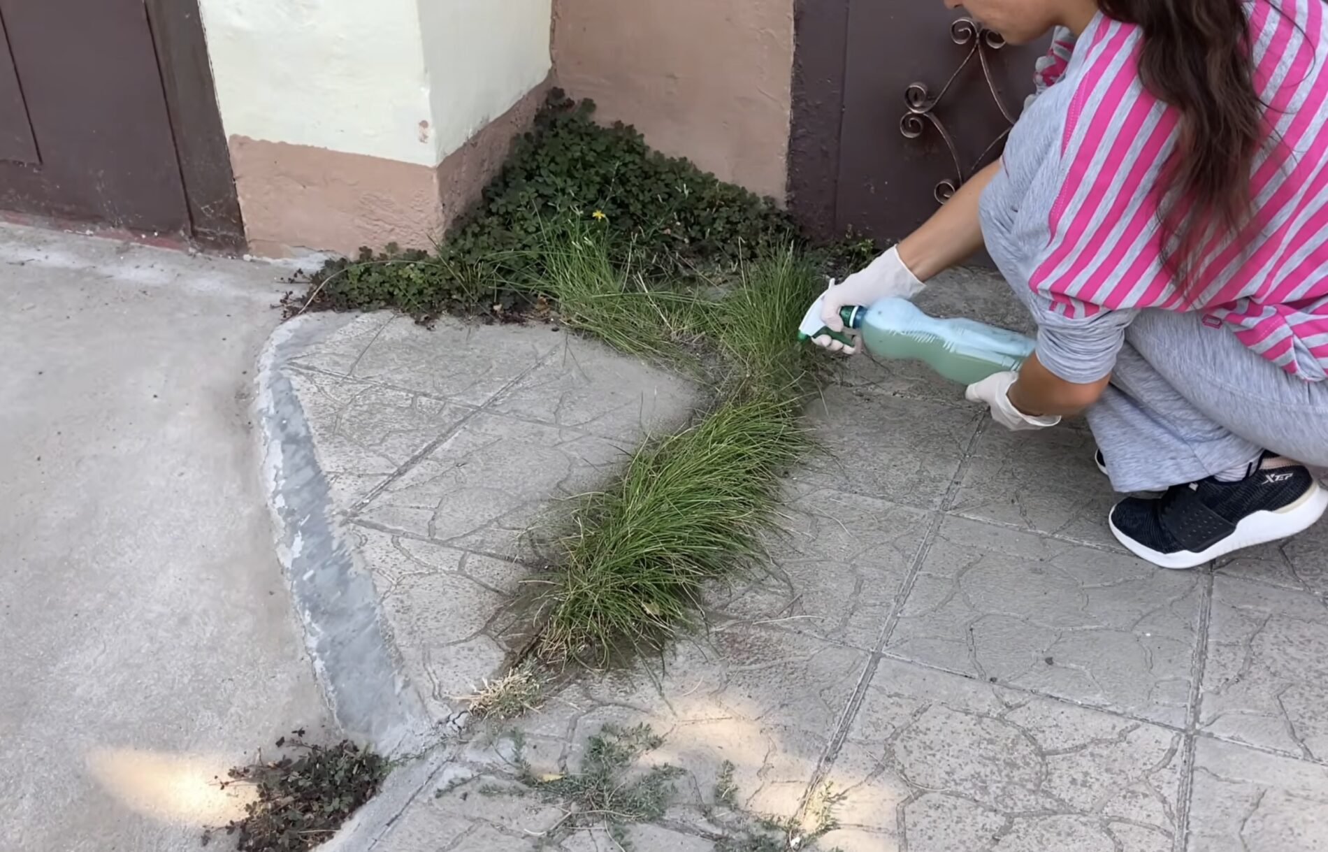 Садівники розповіли, як без зусиль прибрати бурʼяни між плиткою і під парканом. Фото: скриншот з відео