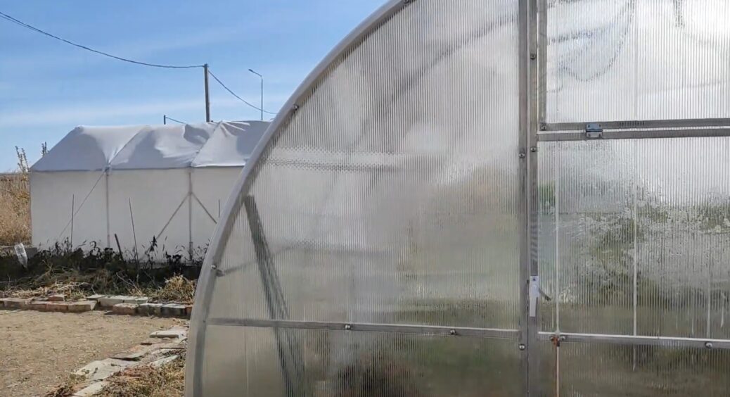 Плівка і полікарбонат — минуле століття: обираю правильне укриття для теплиці, аби не було фітофтори 