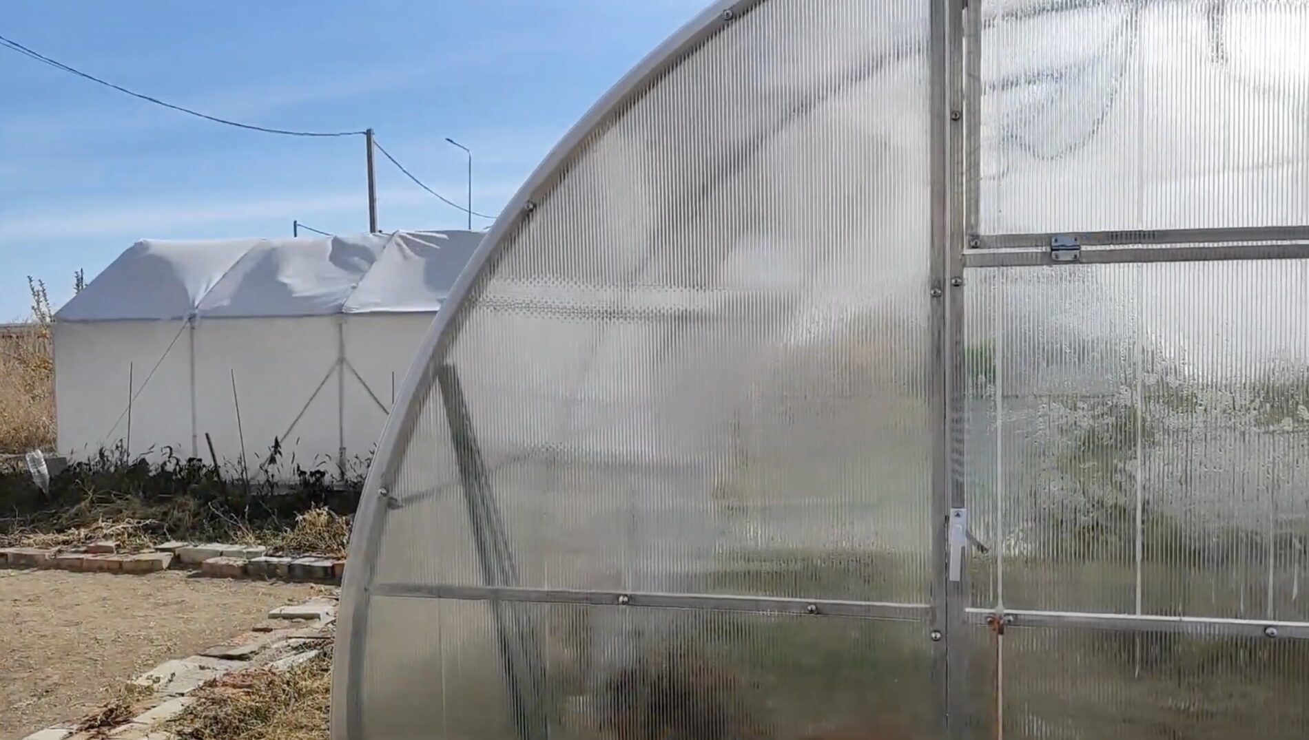 Городники розповіли, який матеріал обрати для укриття теплиці