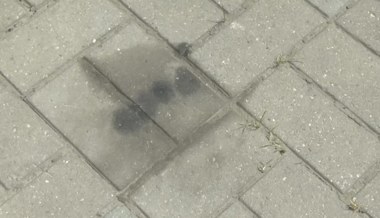 Господині розповіли, як прибрати плями від бензину на бруківці