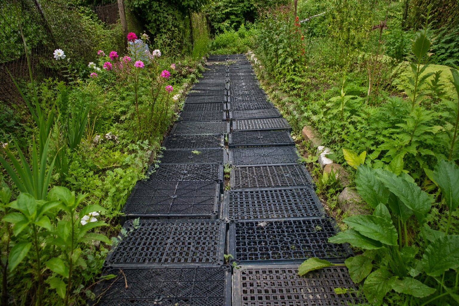 Експерти розповіли, як зробити садову доріжку зі звичайних пластикових ящиків. Фото: Добрі новини
