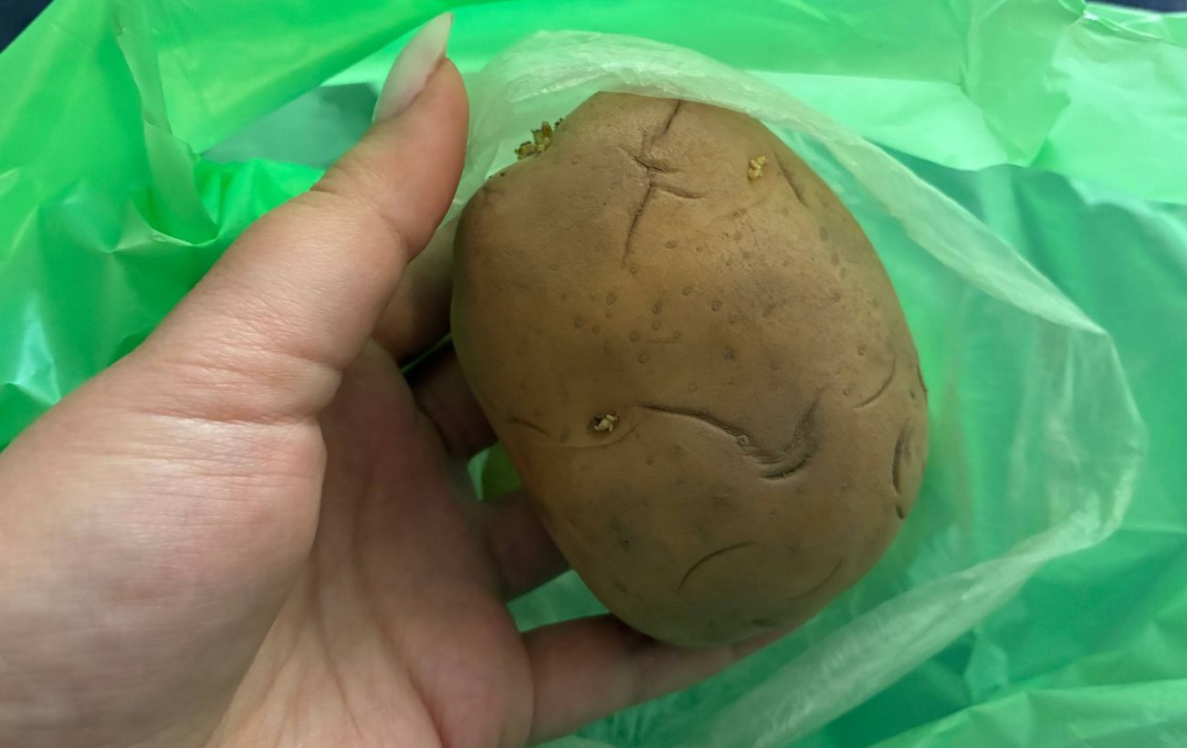 Які помилки у зберіганні овочів призводять до їхнього псування. Фото: Добрі Новини