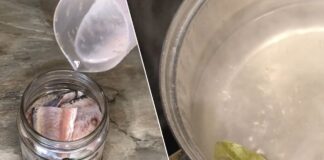 Як приготувати маринований оселедець по-шведськи. Фото: YouTube Зефірка