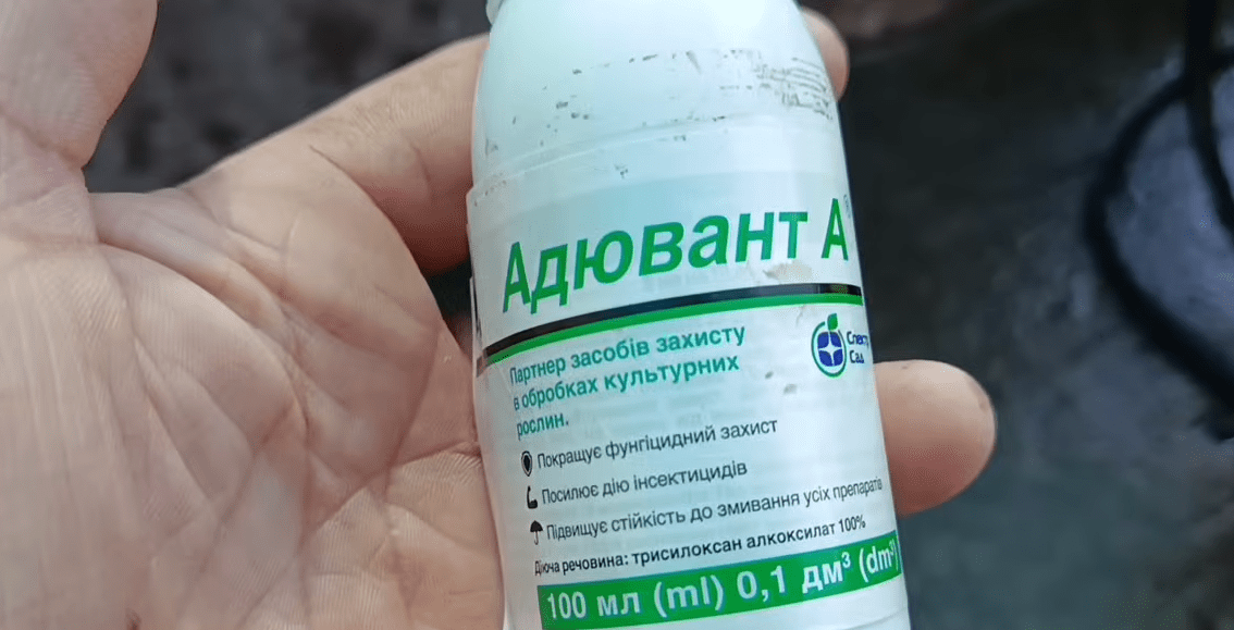 Садівники порадили, як позбавитися від шкідників на абрикосі. Фото: YouTube Фермерське життя, фундук -сад - город