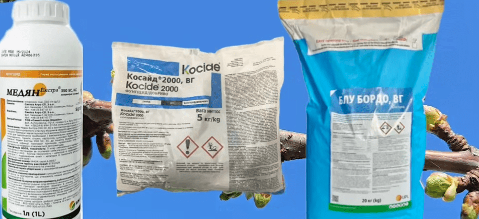 Садівники нагадали про другу весняну обробку саду. Фото: YouTube Максим Гаранжа