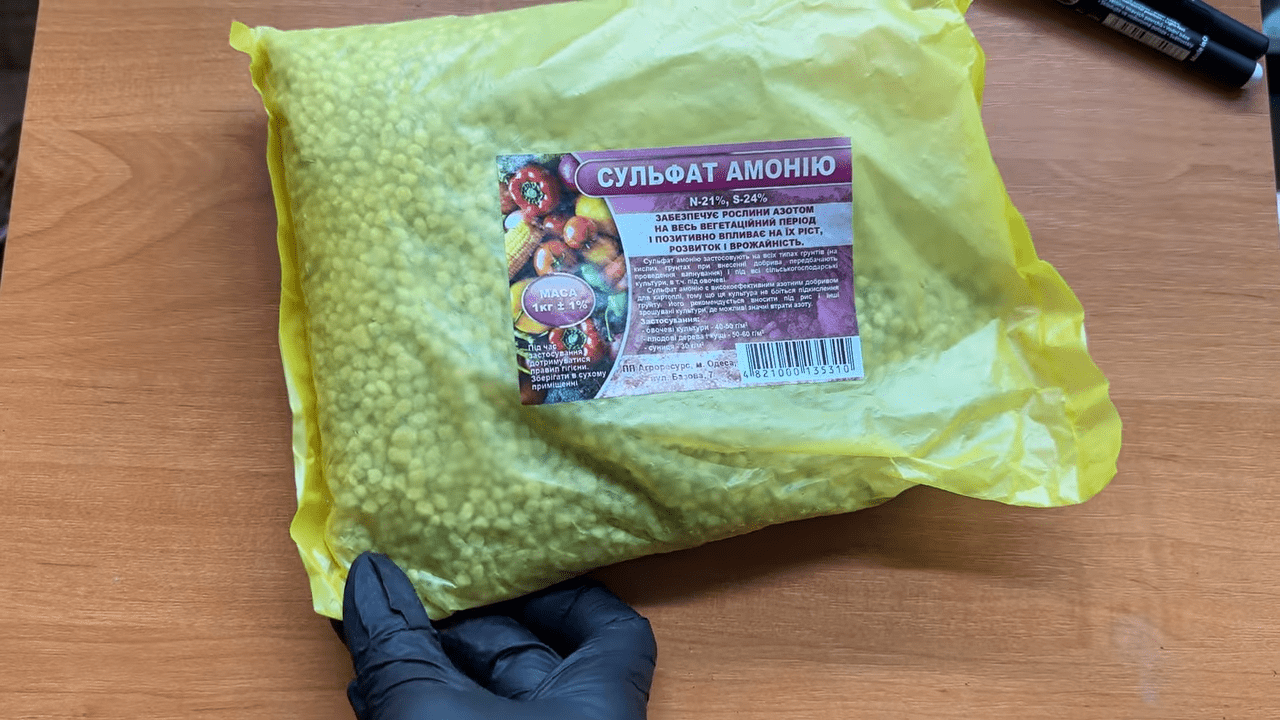 Садівники порадили сезонну схему підживлення лохини. Фото: YouTube ДачаLife