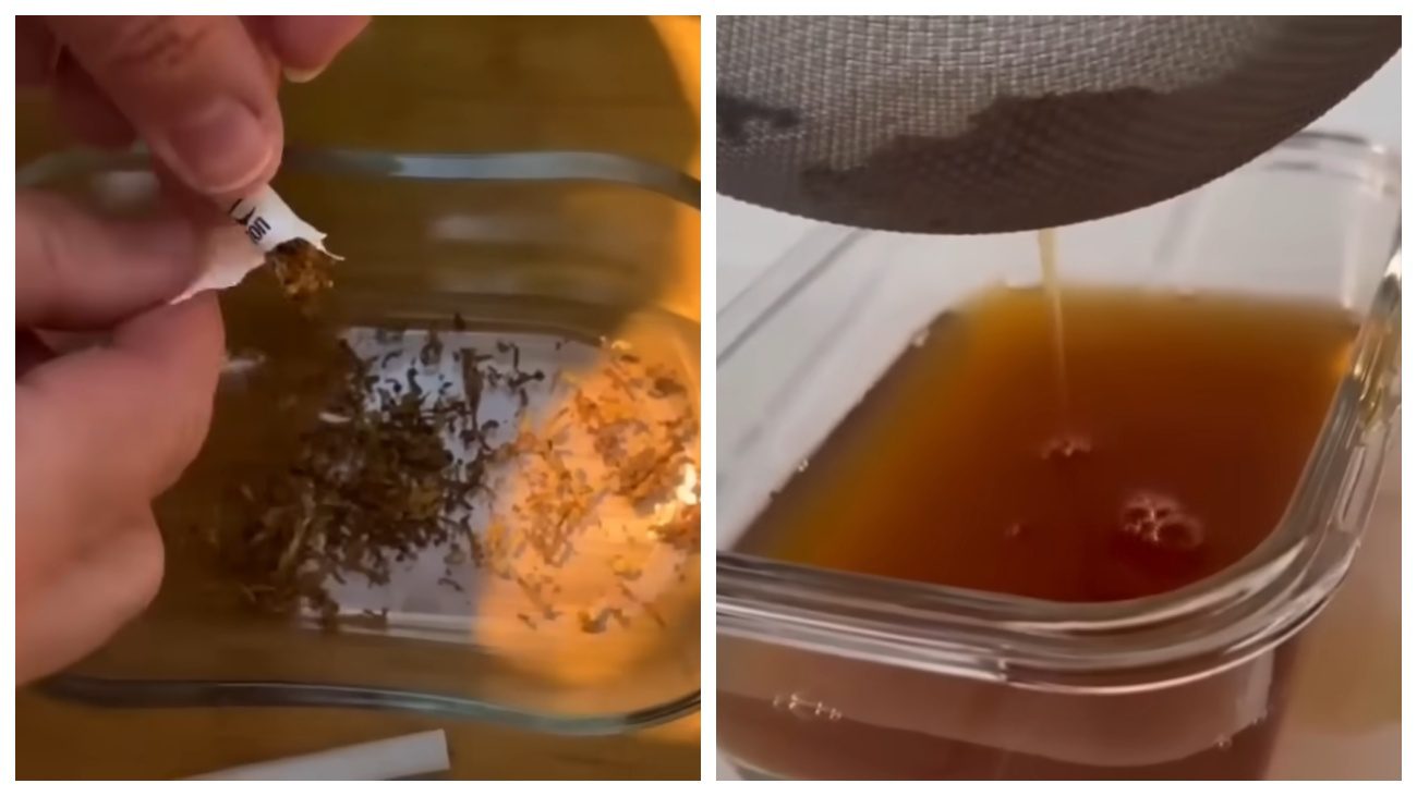 Городники розповіли про дію табака на колорадського жука. Фото: YouTube Dodaj, Umesi, Ispeci !