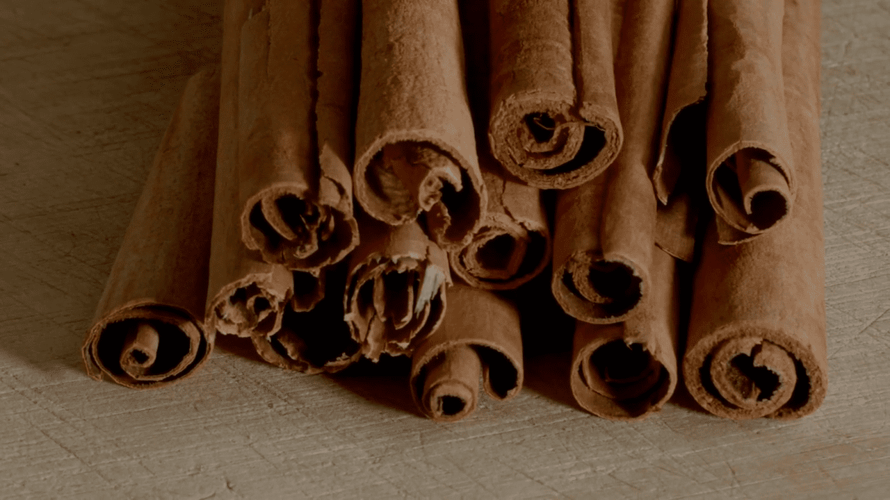 Городники розповіли, як власноруч приготувати пастку для мурах. Фото: YouTube Городниця з Одеси