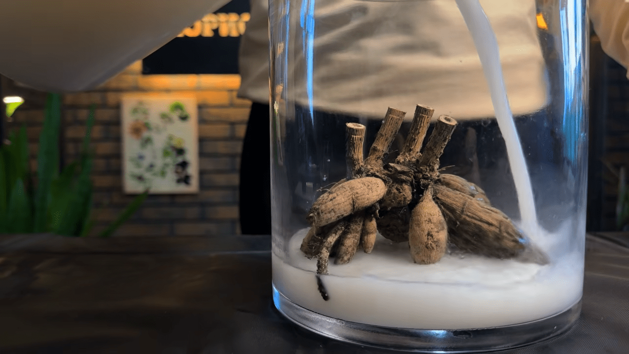 Квітникарі розповіли, як правильно посадити жоржину. Фото: YouTube Корисні Корисності