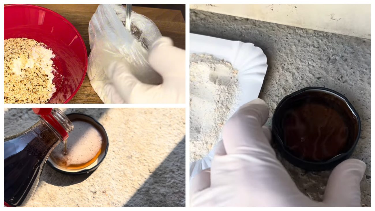 Експерти порадили дієвий рецепт позбавитися від гризунів. Фото: YouTube Dodaj, Umesi, Ispeci !