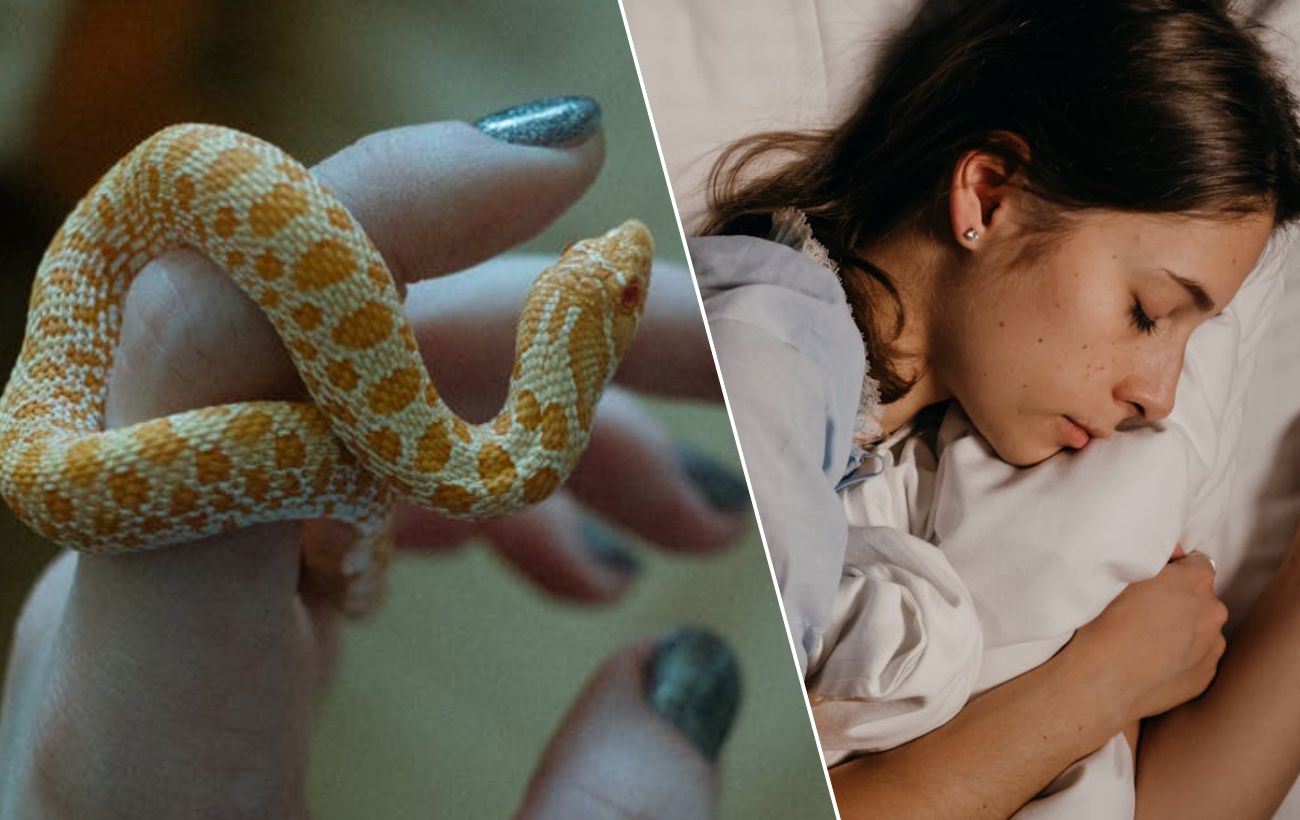 До чого сниться змія. Фото: Pexels