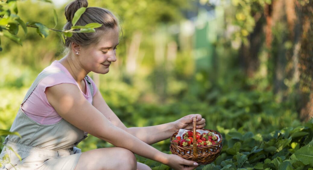Не “тягніть” до останнього: 5 ягід, які можна посадити у квітні – солоденькі плоди збиратимете вже влітку 