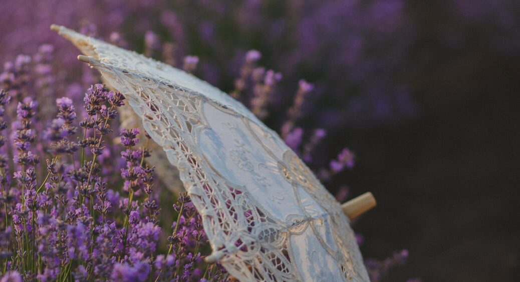 Лаванда після приморозків виглядає безживною — не поспішайте її викидати: 2 способи відновити кущі 