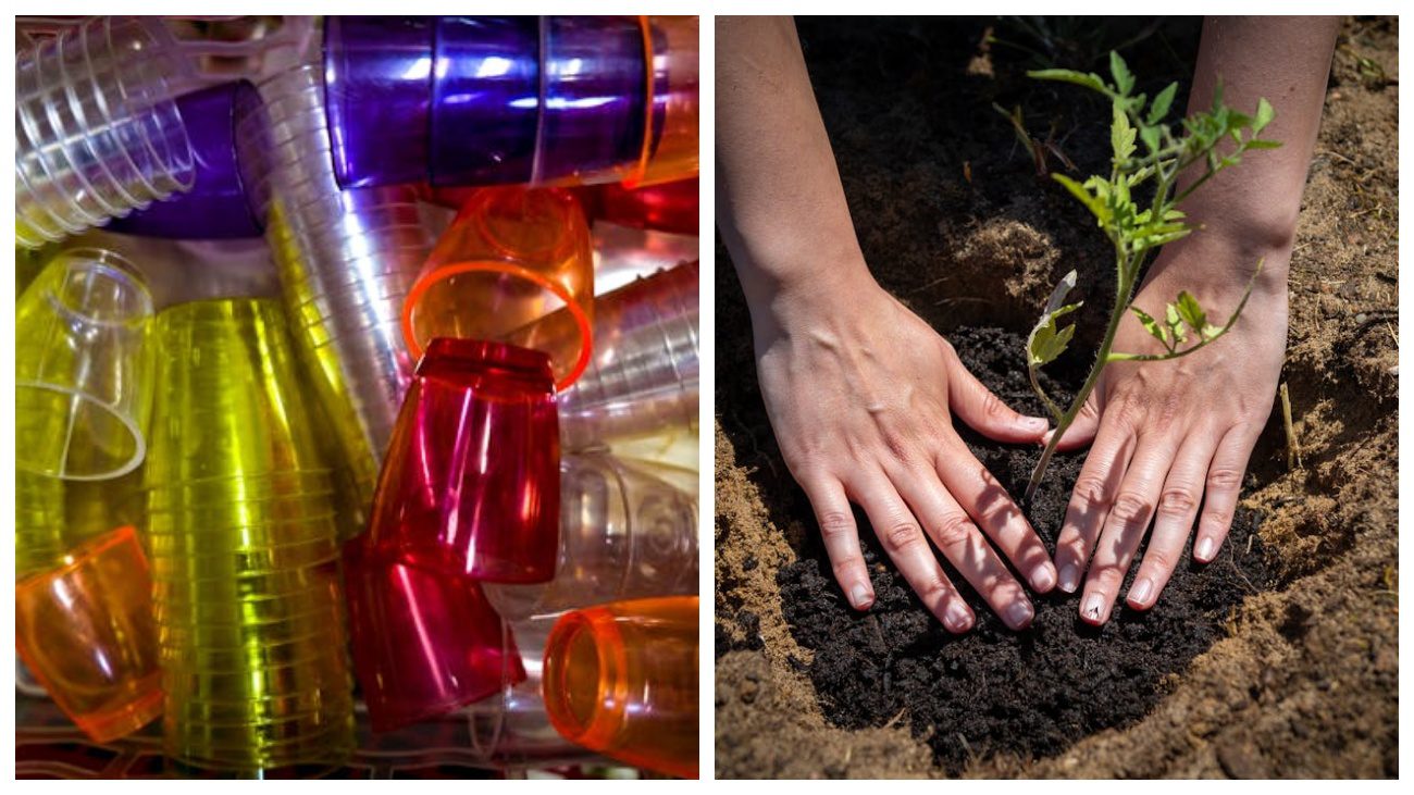 Дачники поділилися лайфхаком з пластиковими стаканчиками. Фото: Pexels