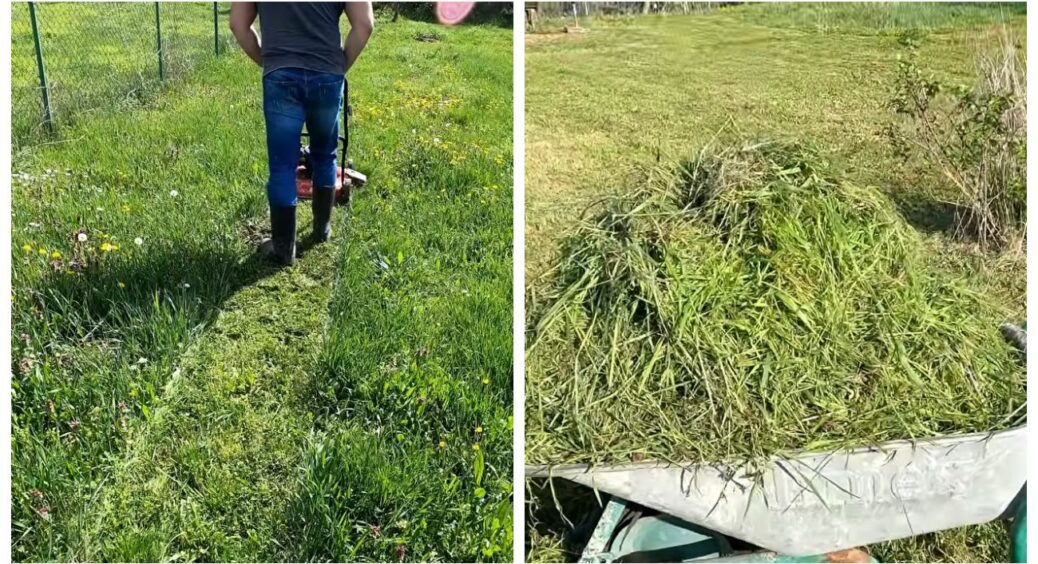 Щоразу після косіння відчуваю, ніби знайшла на галявині 1000 гривень: улюблені лайфхаки зі скошеною травою 