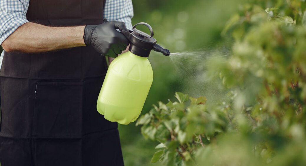 Вже через 24 години ви побачите приголомшливий результат: не викидайте цей бур’ян, він вартий золота! 