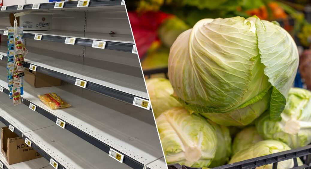 Капуста несподівано подорожчала в Україні: у скільки обійдеться українцям 1 кілограм овочу? 