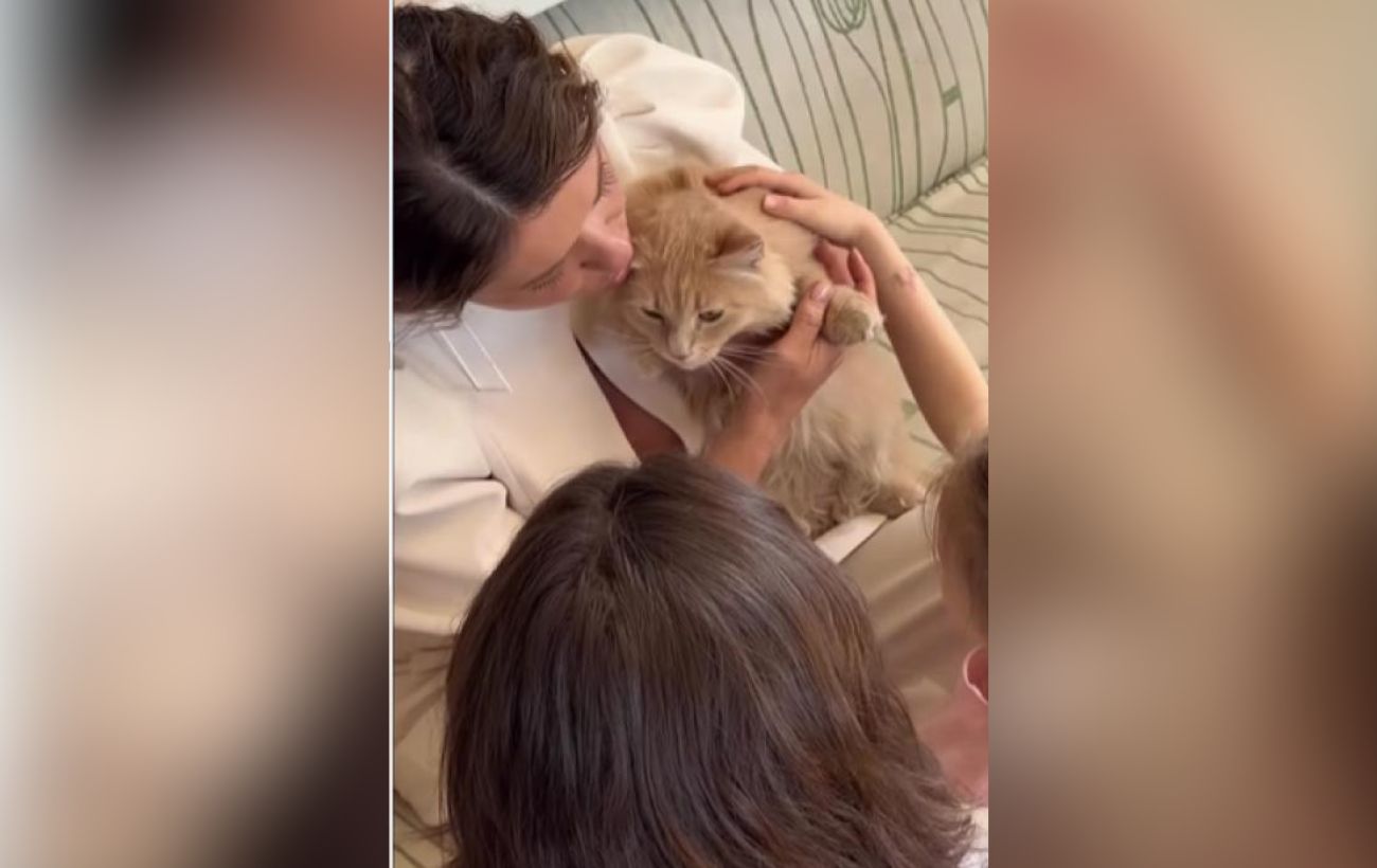 Наталія Могилевська повідомила, що стала котячою мамою. Фото: Instagram nataliya_mogilevskaya