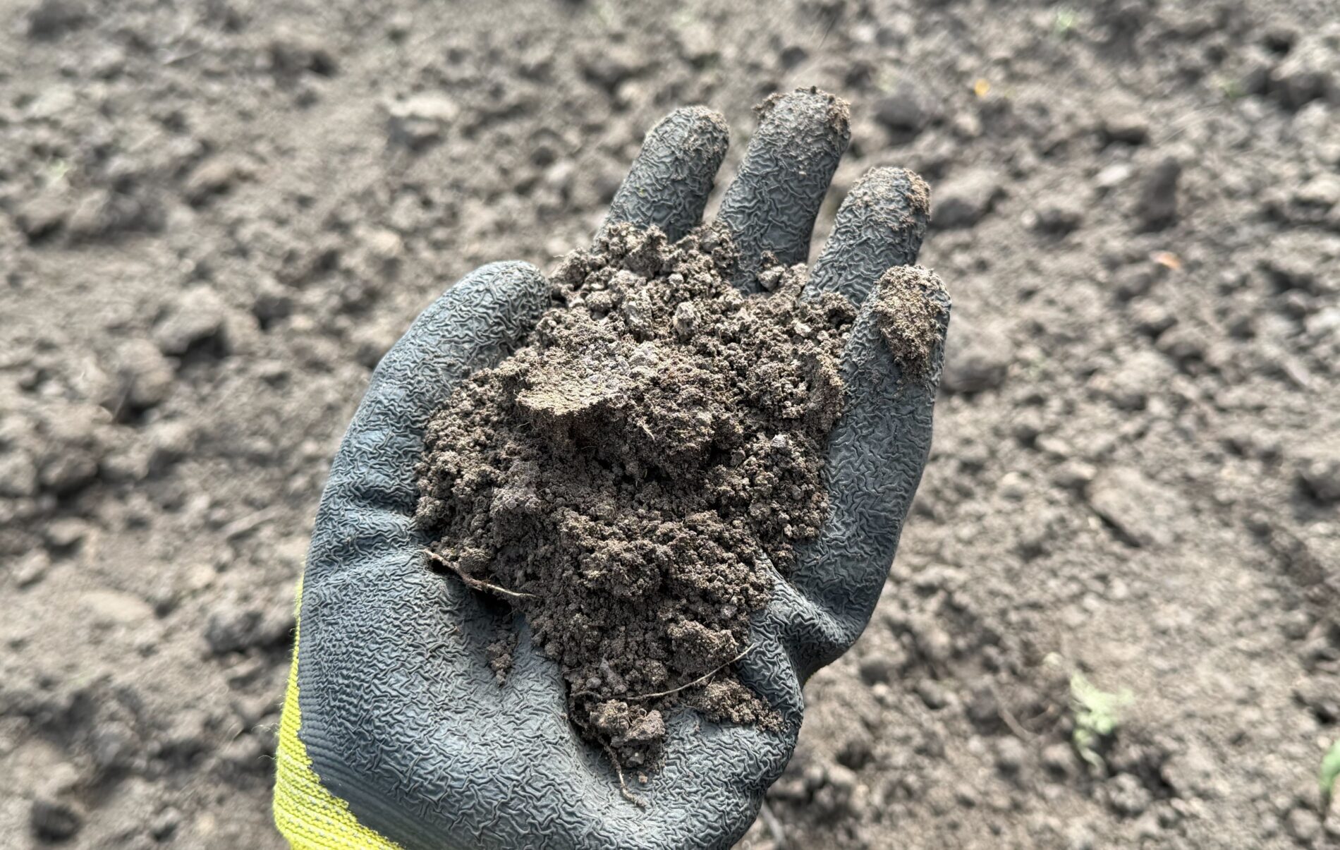 Городники назвали набагато дешевшу альтернативу гною. Фото: Добрі новини